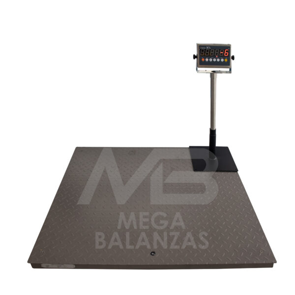 BALANZA PLATAFORMA DE HIERRO