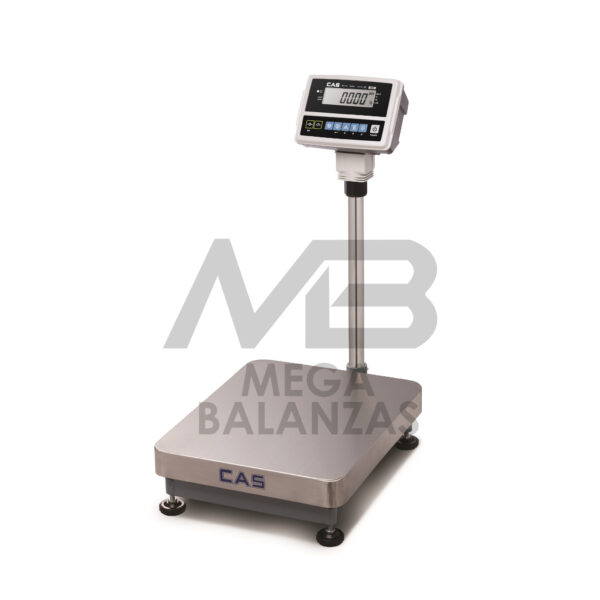 BALANZA DE PISO CAS HD 40X50CM